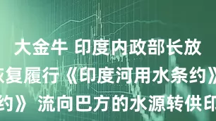大金牛 印度内政部长放话：绝不恢复履行《印度河用水条约》 流向巴方的水源转供印国内调配