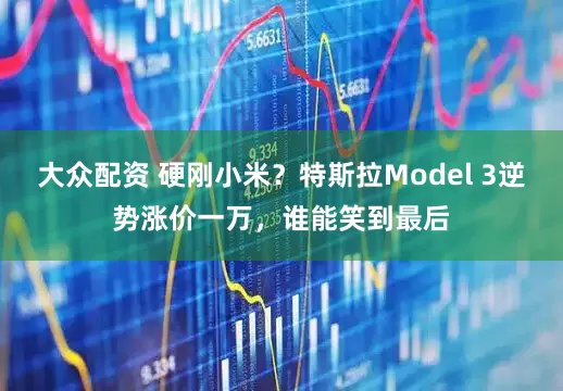 大众配资 硬刚小米？特斯拉Model 3逆势涨价一万，谁能笑到最后
