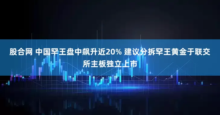 股合网 中国罕王盘中飙升近20% 建议分拆罕王黄金于联交所主板独立上市