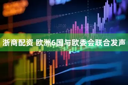 浙商配资 欧洲6国与欧委会联合发声