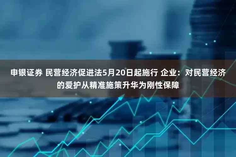 申银证券 民营经济促进法5月20日起施行 企业：对民营经济的爱护从精准施策升华为刚性保障