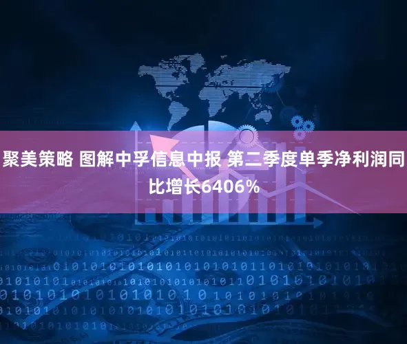 聚美策略 图解中孚信息中报 第二季度单季净利润同比增长6406%